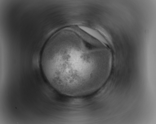 X0000093210107200710101334