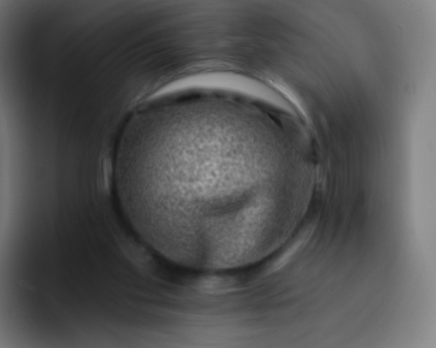 X0000093210109200710101334