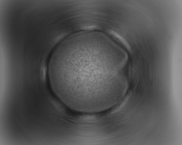 X0000093210110200710101334