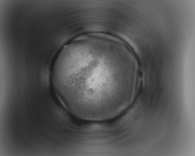 X0000093210111200710101334