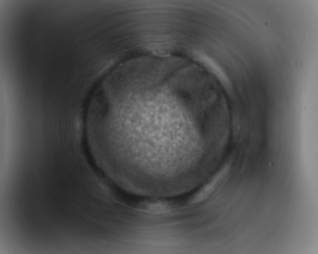 X0000093210113200710101334