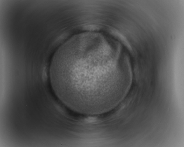 X0000093210114200710101334