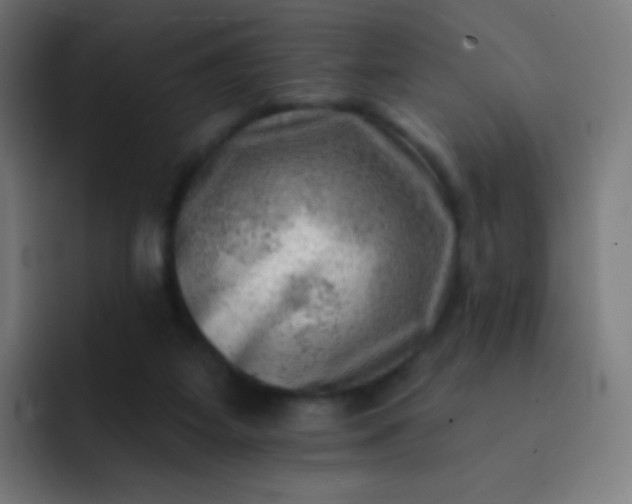 X0000093210115200710101334