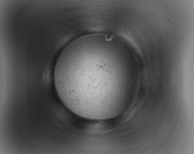 X0000093210116200710101334