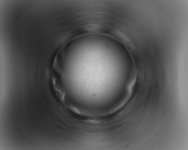 X0000093210117200710101334