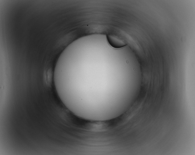 X0000093210118200710101334