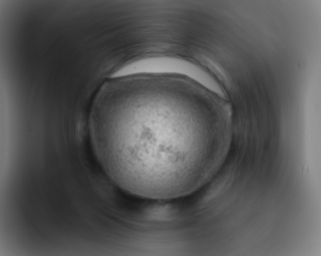 X0000093210119200710101334