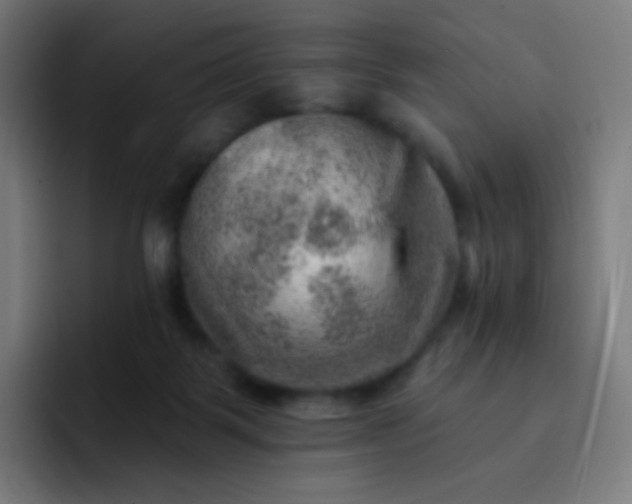 X0000093210123200710101333