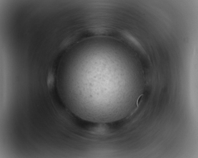 X0000093210124200710101333