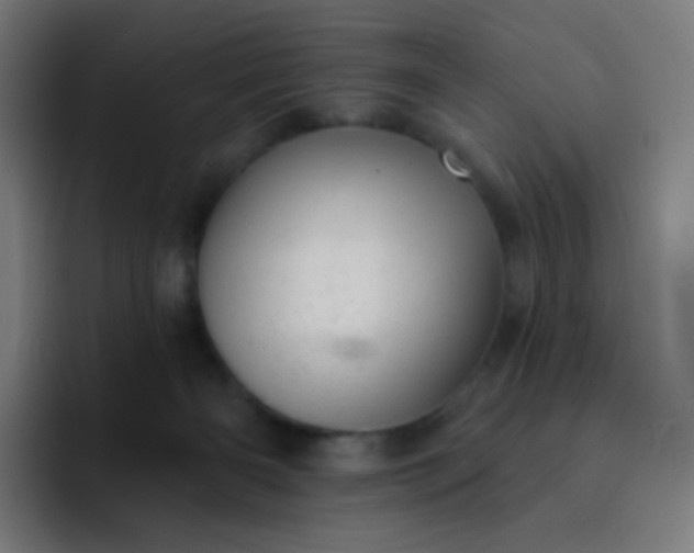 X0000093210126200710101333