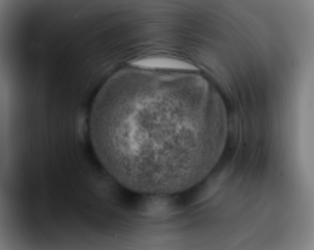 X0000093210127200710101333