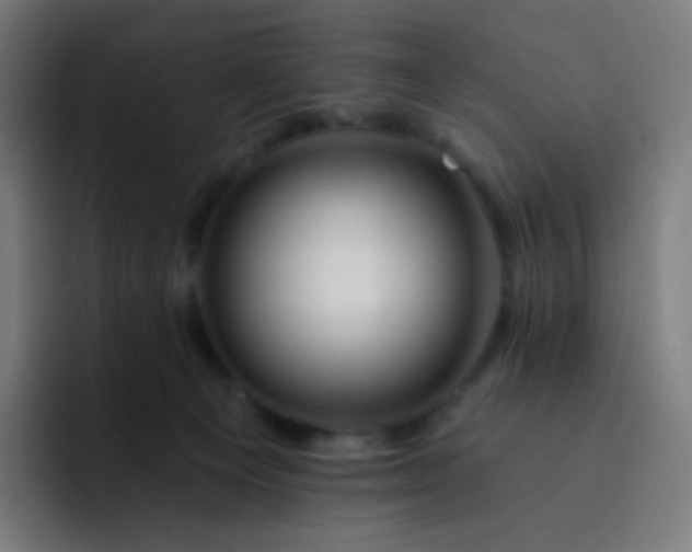 X0000093210129200710101333