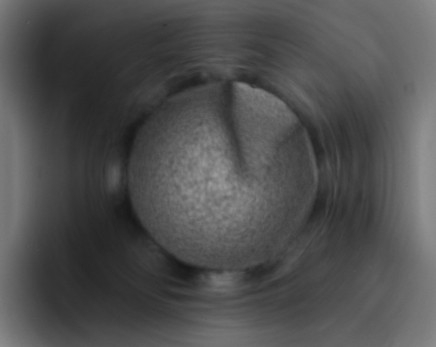 X0000093210134200710101333