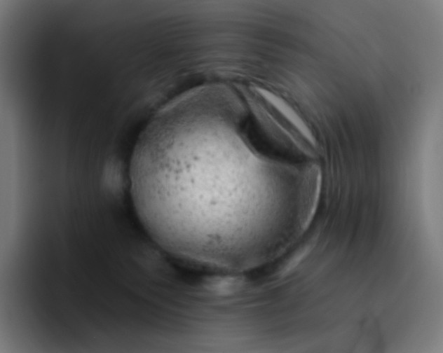 X0000093210135200710101333