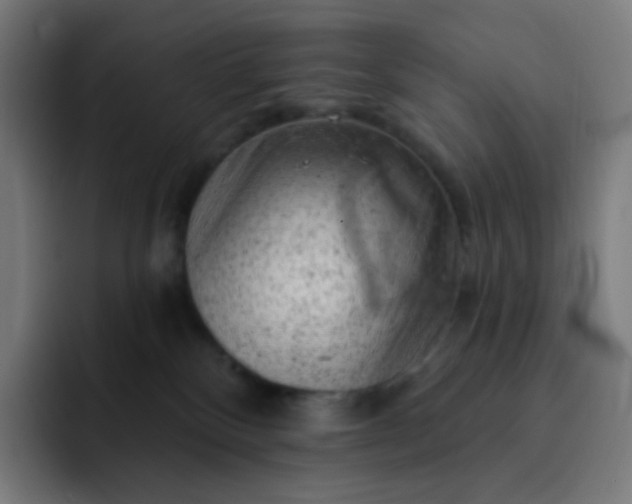 X0000093210136200710101333