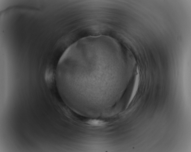 X0000093210137200710101333