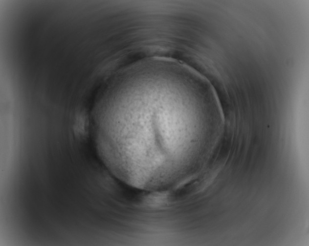 X0000093210138200710101333