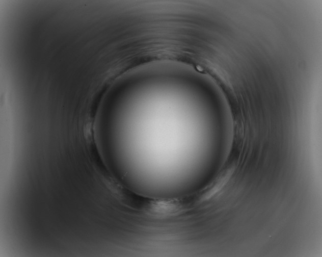 X0000093210141200710101333