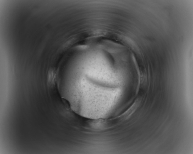 X0000093210142200710101333