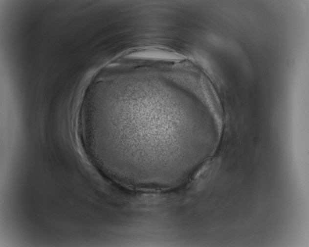 X0000093210145200710101333