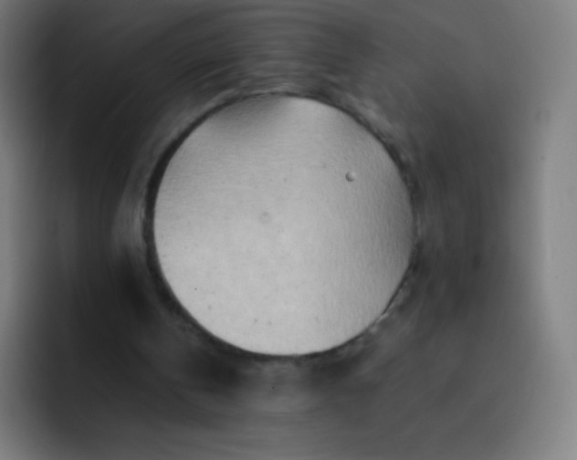 X0000093210146200710101333