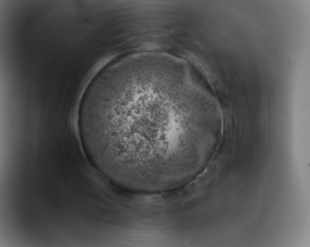 X0000093210147200710101333