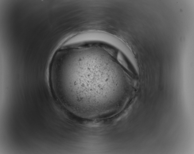 X0000093210148200710101333