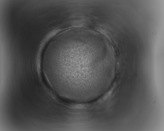 X0000093210149200710101333