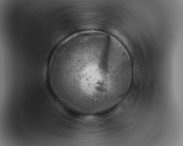 X0000093210153200710101333