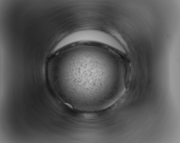 X0000093210154200710101333