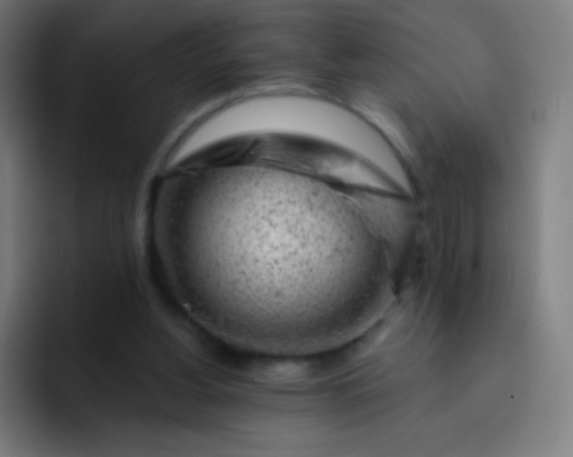 X0000093210156200710101333