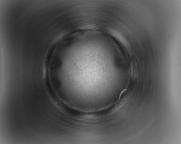 X0000093210157200710101333