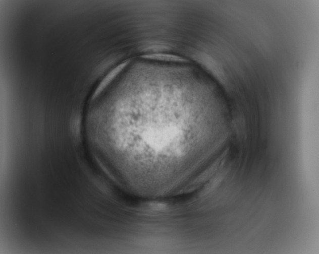 X0000093210159200710101333