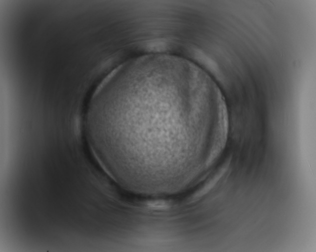 X0000093210161200710101333