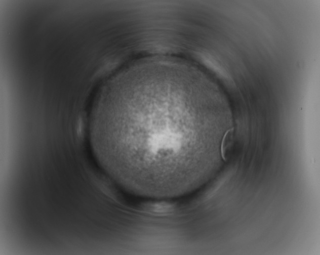 X0000093210165200710101333