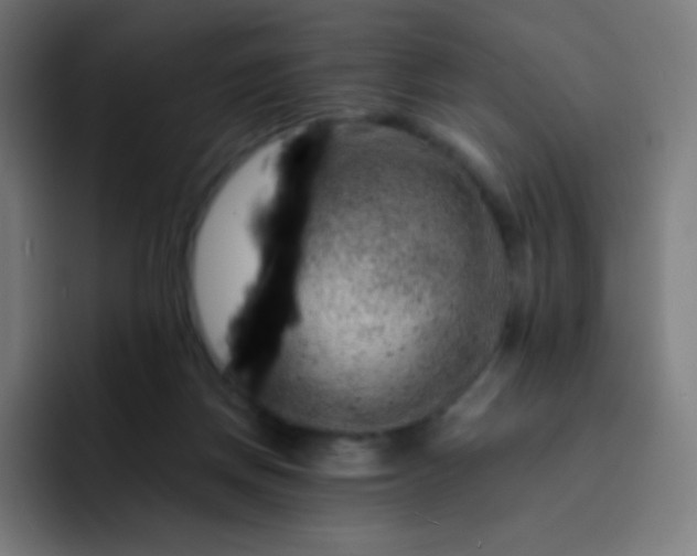 X0000093210166200710101333