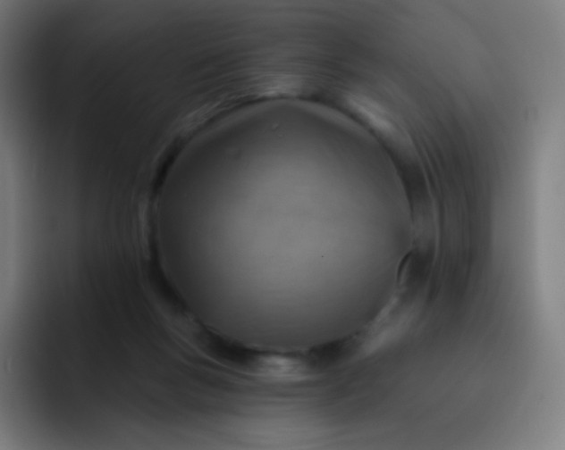 X0000093210167200710101333