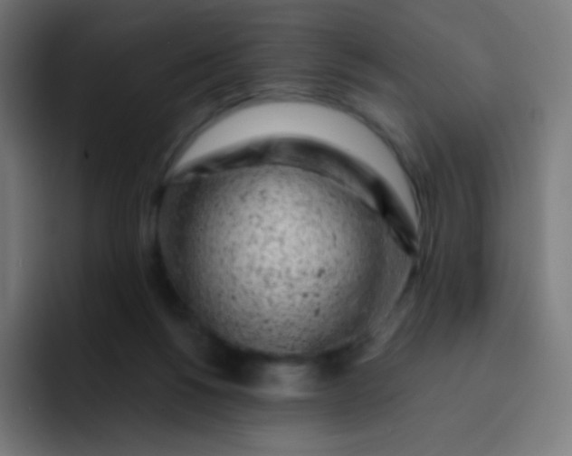 X0000093210168200710101333