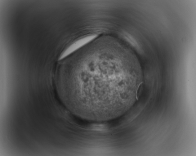 X0000093210169200710101333