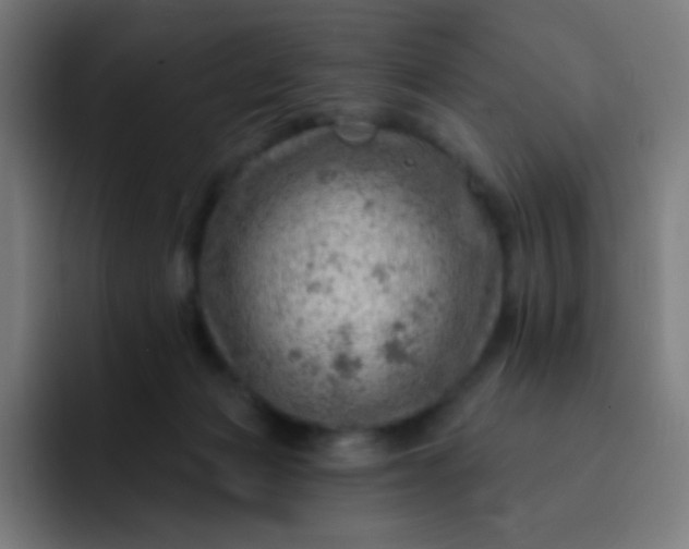 X0000093210173200710101333