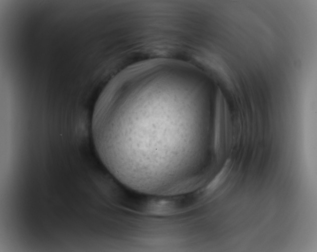 X0000093210174200710101333