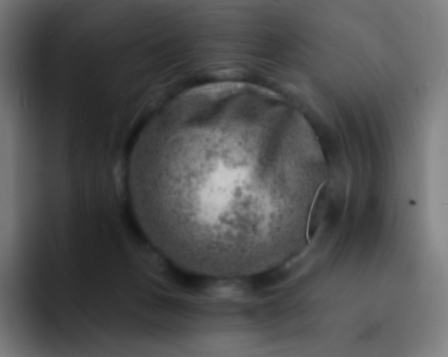 X0000093210175200710101333