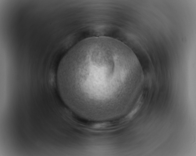 X0000093210178200710101333