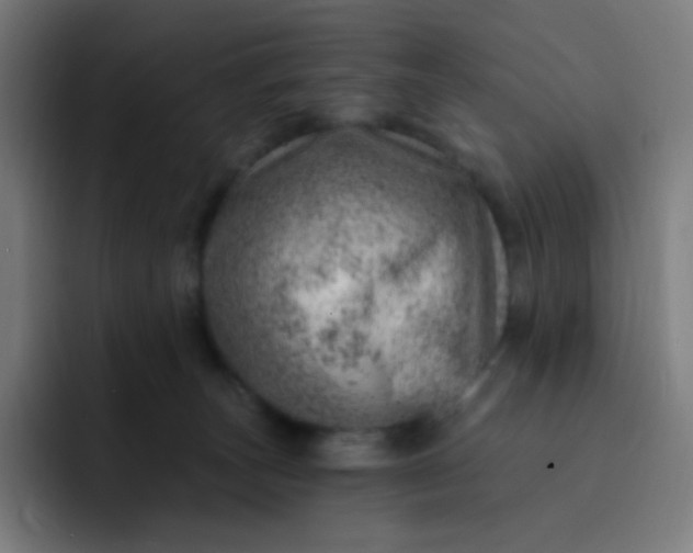 X0000093210179200710101333