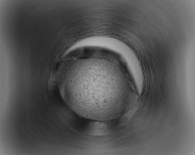 X0000093210180200710101333