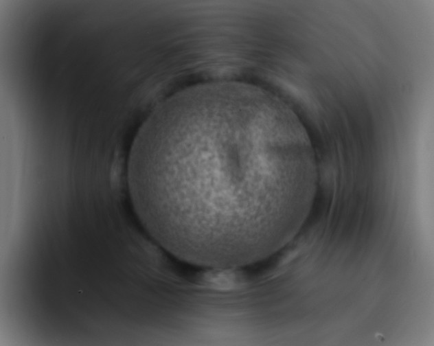 X0000093210181200710101333