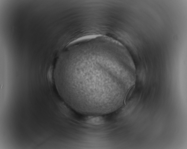 X0000093210185200710101333