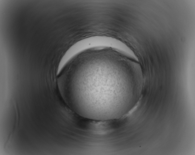 X0000093210186200710101333