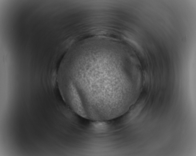 X0000093210189200710101333