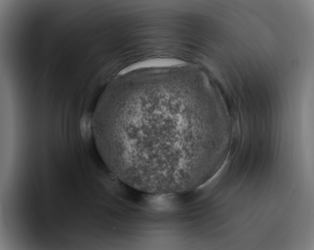 X0000093210191200710101333